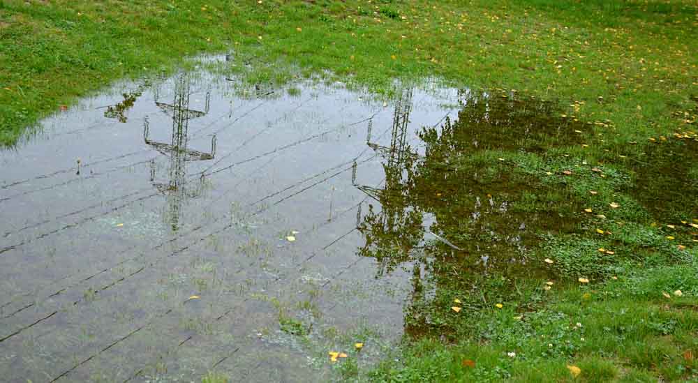 flooded lawn