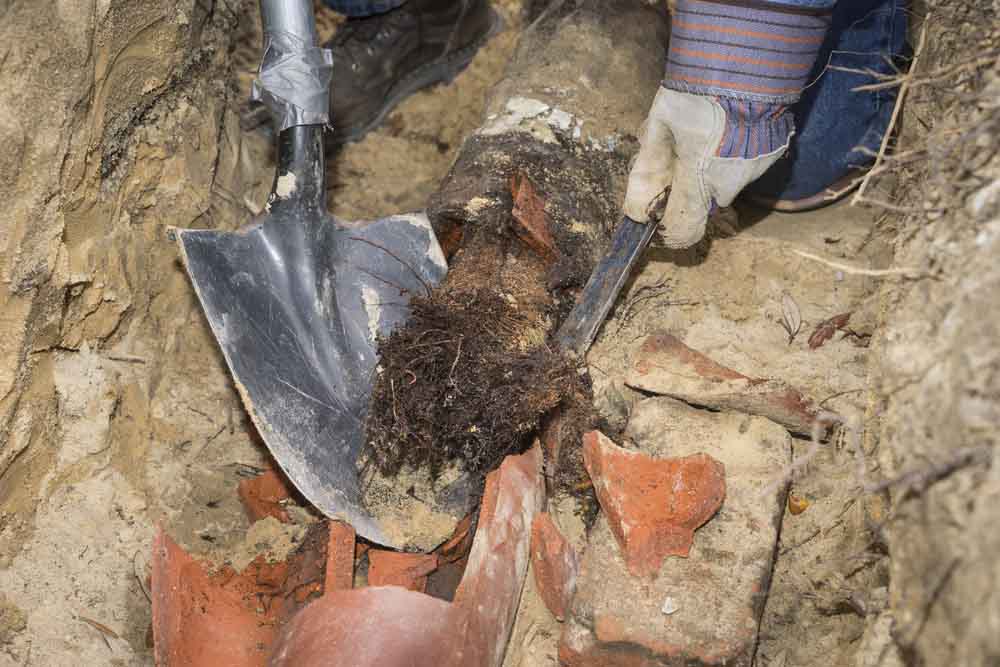 sewer pipe roots Gahanna, OH